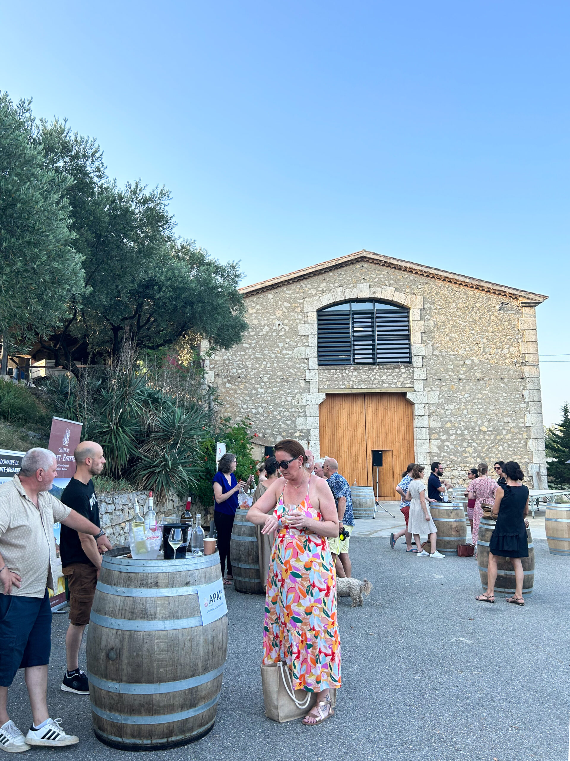 Les personnels font déguster les vins du Domaine de Sainte-Johannès