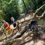 Les jeunes à l'arrêt en VTT dans les bois