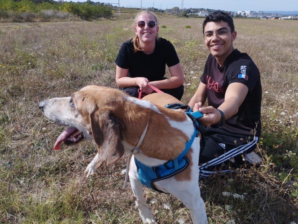 Deux jeunes promènent un chien