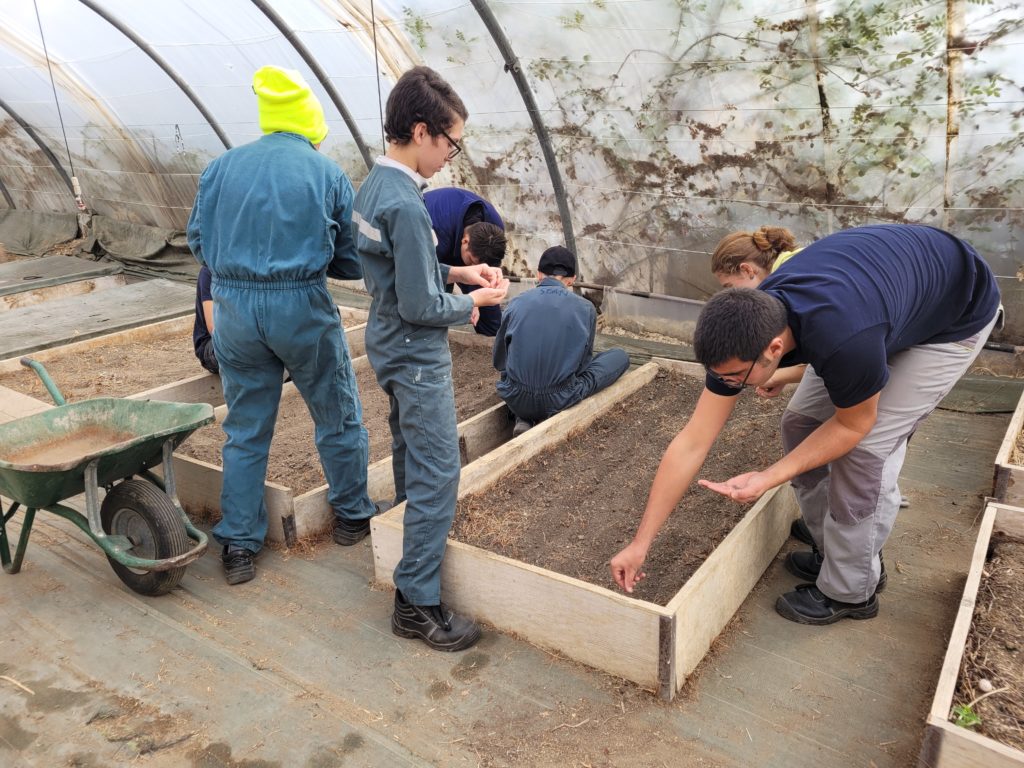 Les jeunes préparent les semis de radis dans la serre de l'IME