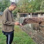 Un jeune donne à manger à un lama