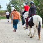 Les résidents à cheval et les accompagnatrice, à terre partent en promenade