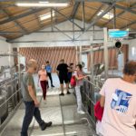 Les jeunes sur la passerelle découvrent la cave et les cuves d'en haut