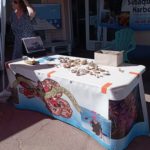 Un stand avec des coquillages