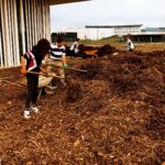4 jeunes au travail avec les bêches et les râteaux