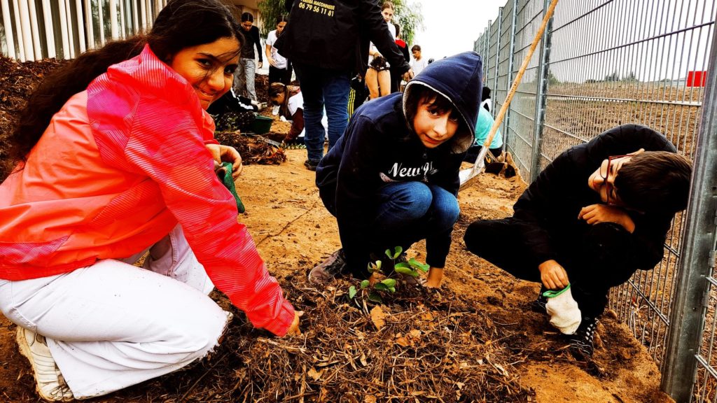 Trois jeunes accroupis se chargent des plantations
