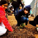 Trois jeunes accroupis se chargent des plantations