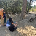 Jeunes et adultes nourrissent un kangourou