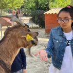 Une jeune fille avec une chèvre