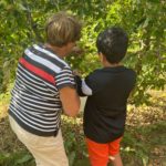 Une adulte et un jeune cueillent des pommes
