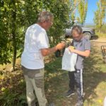 Un jeune et un adulte cueillent des pommes
