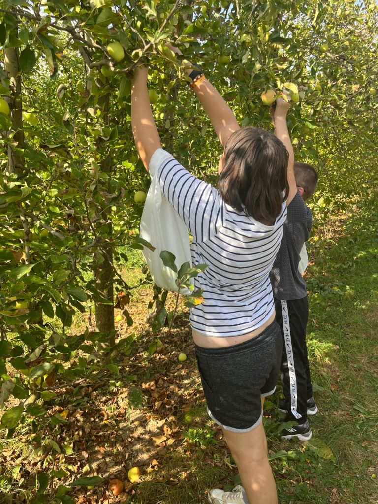 Deux jeunes cueillent des pommes