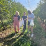Une adulte et deux jeunes dans le verger avec des sacs remplis de pommes