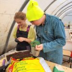 Les jeunes préparent les semis de radis dans la serre de l'IME