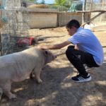 Un jeune homme avec un cochon