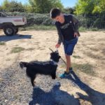Un jeune homme avec un chien