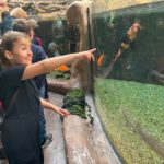Les jeunes devant des aquariums