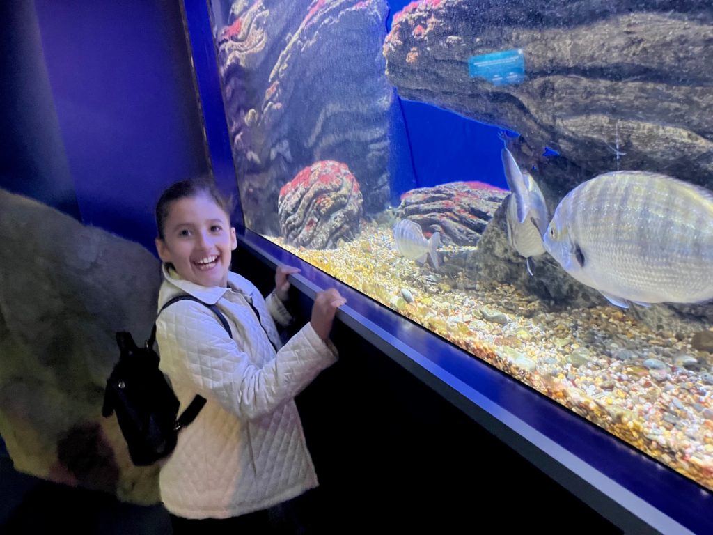 Un jeune devant un aquarium rempli de poissons