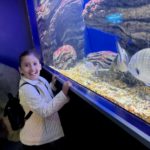 Un jeune devant un aquarium rempli de poissons