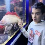 Un jeune devant l'aquarium des murènes