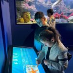 3 jeunes découvrent les poissons et les étoiles de mer