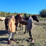 Un jeune et son accompagnante près des chevaux