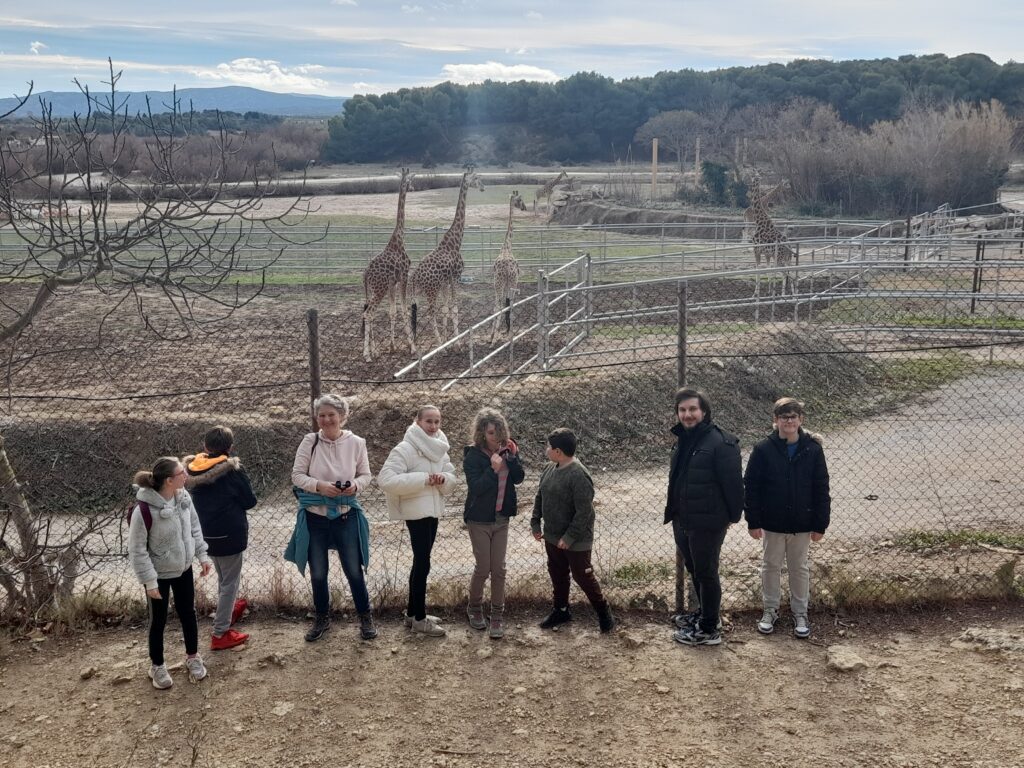 Le groupe devant les Girafes