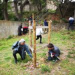 Chasse aux œufs dans les jardins