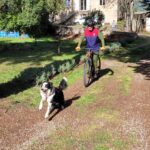 Un jeune sur un vélo tracté par un chien