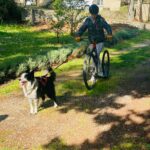 Un jeune sur un vélo tracté par un chien