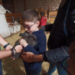 Un petit garçon caresse un lapin