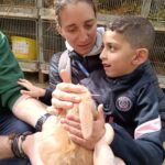 Un petit garçon caresse un lapin