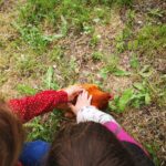 Deux jeunes caressent une poule