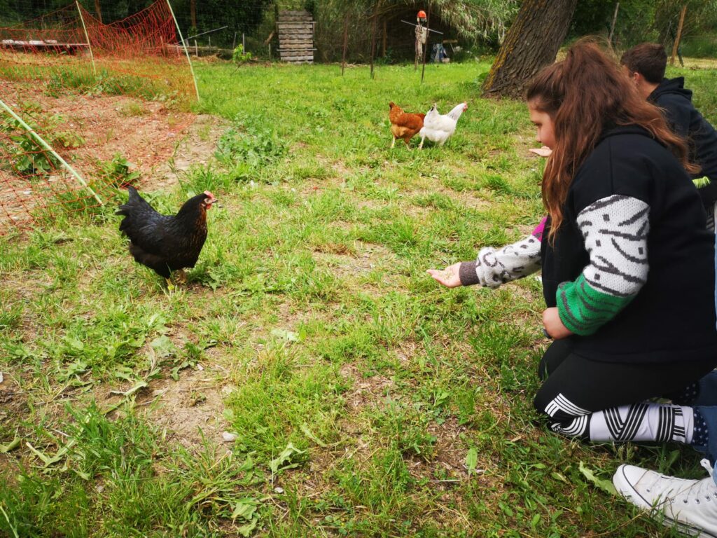 2 jeunes dans le poulailler avec les poules