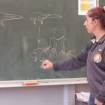 Au tableau, Séverine Jancek dessine l'évolution de la grenouille