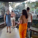 Le groupe dans le vivarium