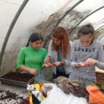 2 jeunes et leur éducatrice, dans la serre, effectuent des plantations