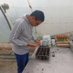 Un jeune concentré sur les plantations
