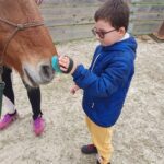 Un garçon brosse un poney