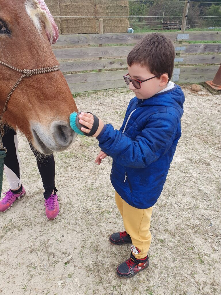 Un garçon brosse un poney
