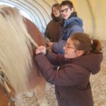 Deux jeunes brossent un poney pendant qu'un troisième lui fait une tresse