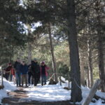 Le groupe marche dans le Parc animalier des Angles