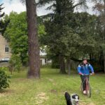Un jeune homme sur un vélo avec un casque, tiré par un chier en laisse qui court.
