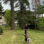 Un jeune homme sur un vélo avec un casque, tiré par un chier en laisse qui court.