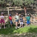 Dans le parc animalier des Angles près des daims