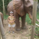 Un jeune près d'un faux éléphant