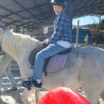 Un jeune accompagné sur un double poney