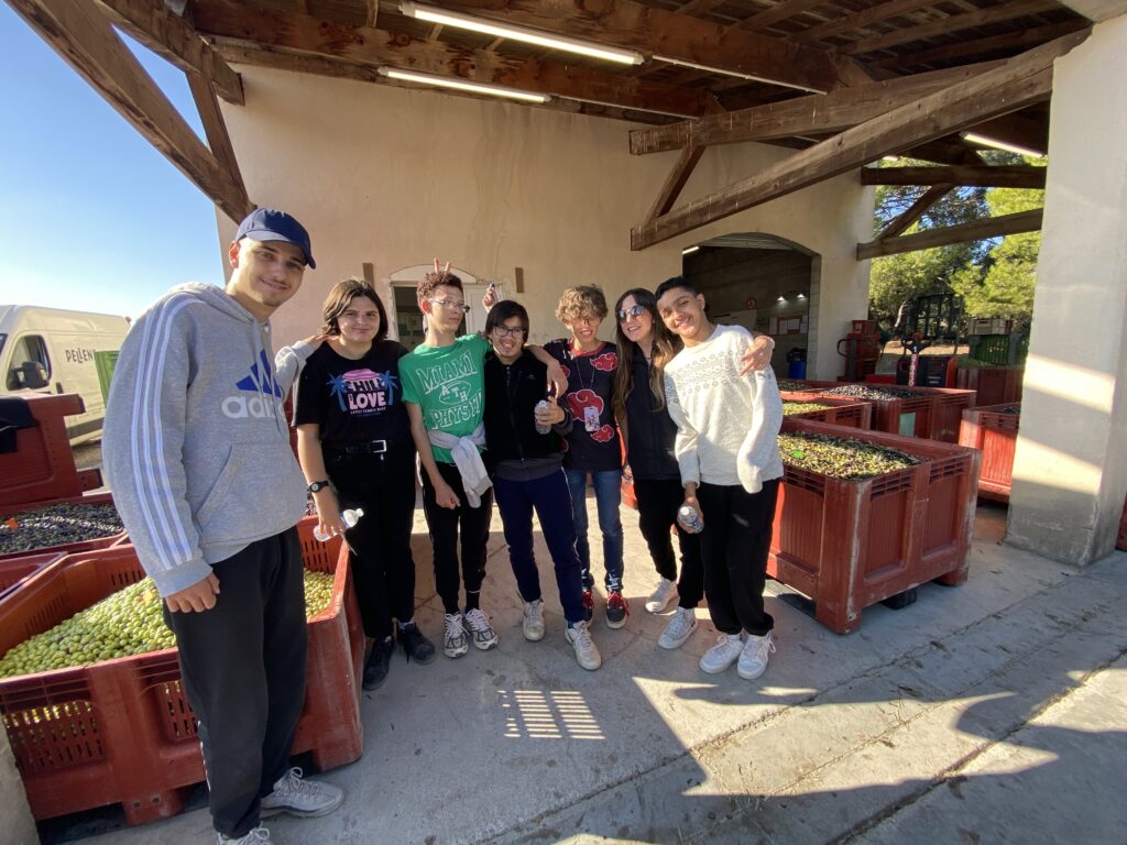 7 jeunes posent devant des cagettes pleine d'olives