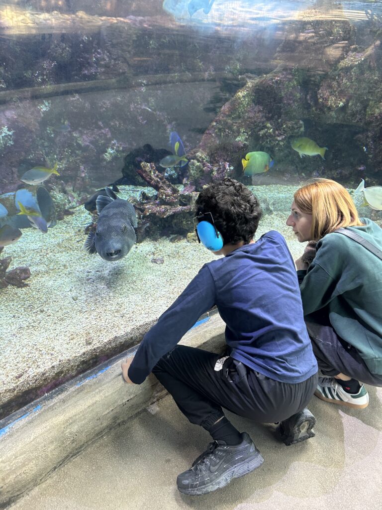 Un jeune et son accompagnatrice devant un aquarium regardent les poissons