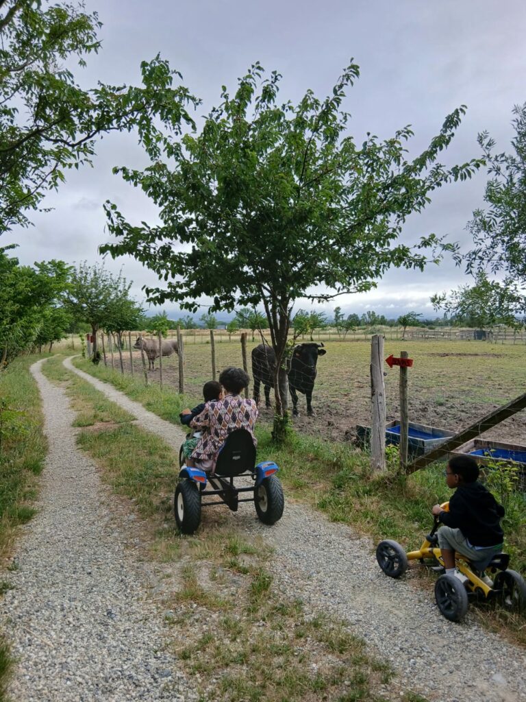 Deux quadricycles avec deux enfants et une adulte sur les chemins de la ferme